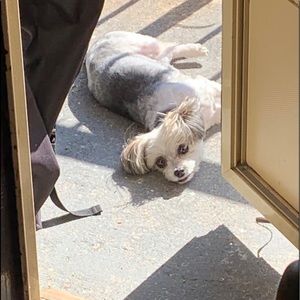 Meet your Posher, Richard